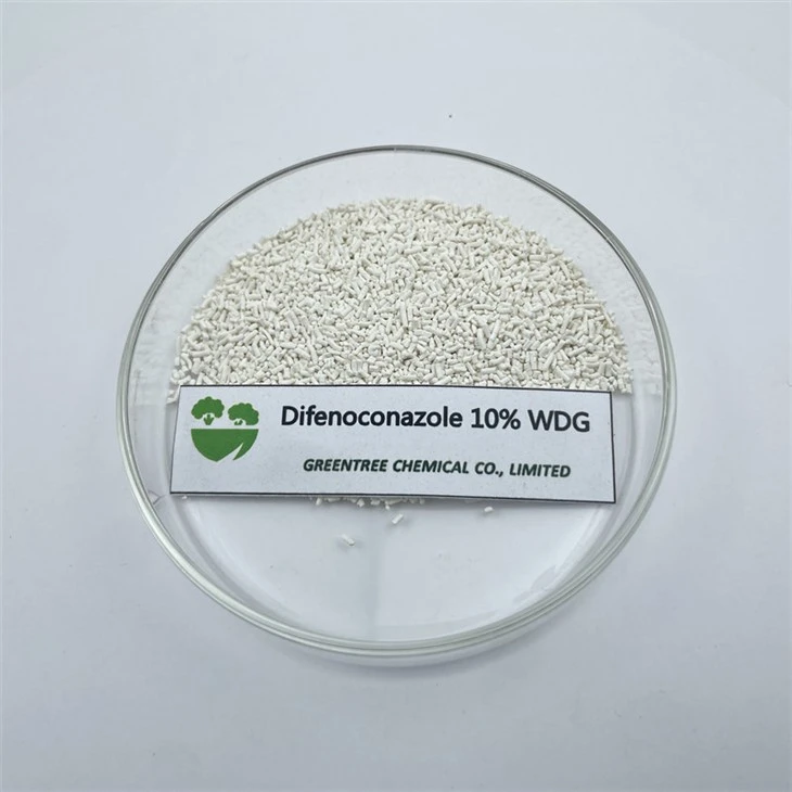 Difenoconazole 10% Wdg Agricultural Chemicals Fungicide Products