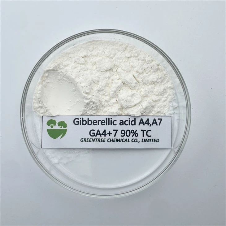 CAS No. 510-75-8 Gibberellic Acid Ga4+7 Agricultural Chemicals Rau Paj Rwb
