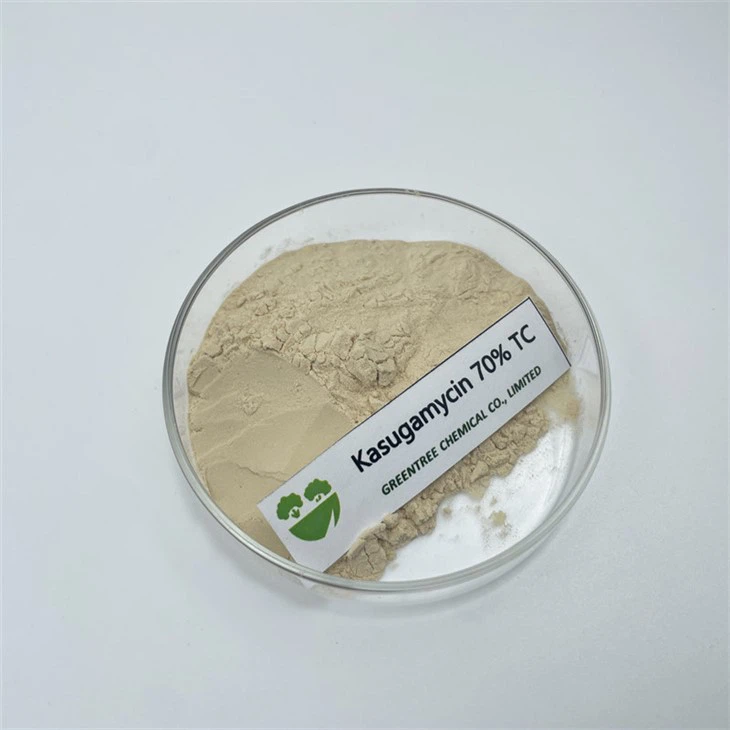 CAS Nr. 6980-18-3 Kasugamycin 70% Tc Kev Muag Khoom